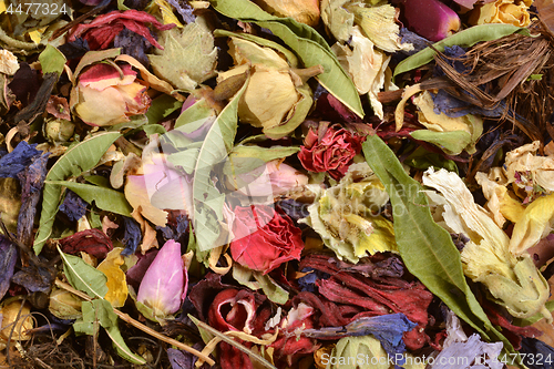 Image of Dried flowers