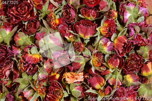 Image of Dried flowers