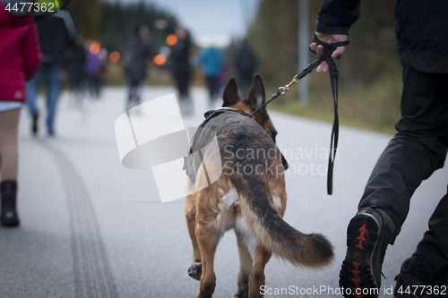 Image of Marching with Torches