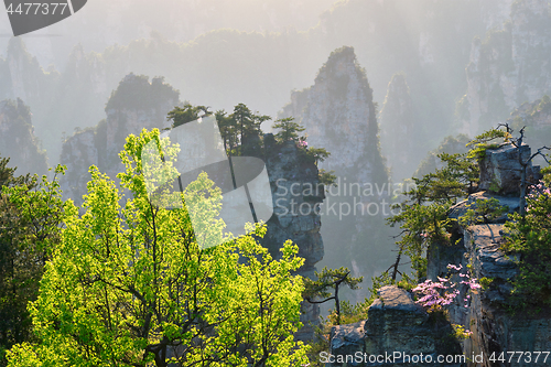 Image of Zhangjiajie mountains, China