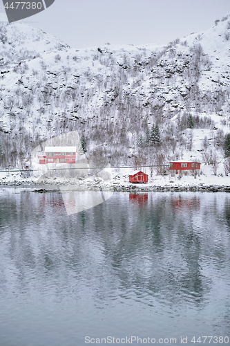 Image of Rd rorbu houses in Norway in winter