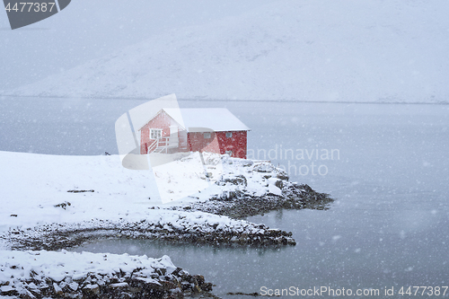 Image of Red rorbu house in winter, Lofoten islands, Norway