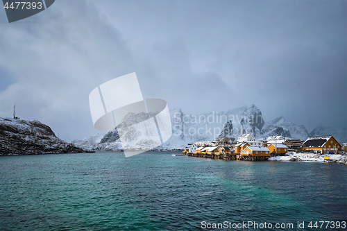 Image of Yellow rorbu houses, Lofoten islands, Norway