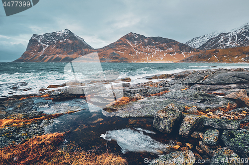 Image of Rocky coast of fjord in Norway