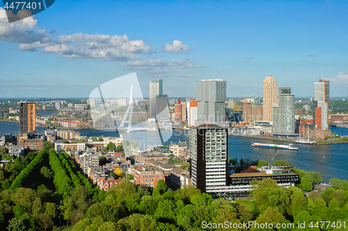 Image of View of Rotterdam city and the Erasmus bridge