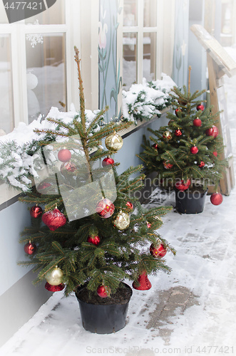 Image of Decorated Christmas trees on street covered in snow.