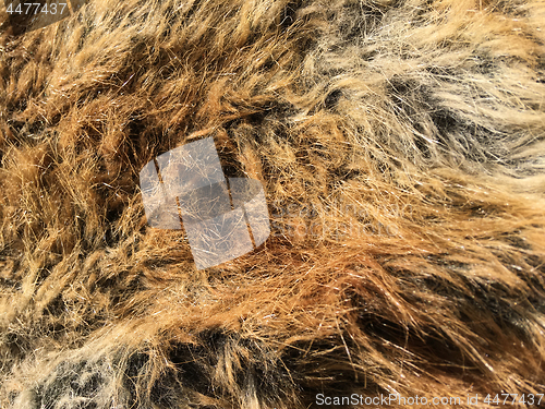 Image of Fur