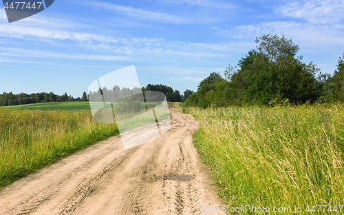 Image of Summer Rural Landscape With A Country Road In the Field