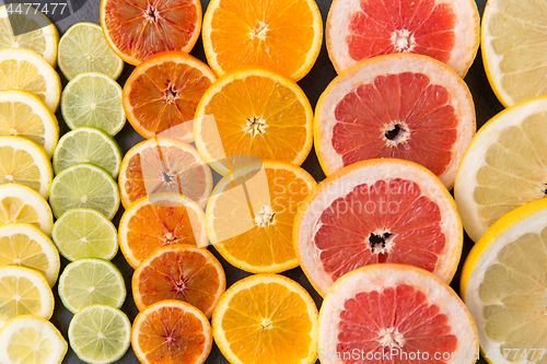 Image of close up of different citrus fruit slices