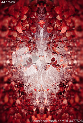 Image of Gorgeous Abstract Floral Mirror Pattern From Red Leaves And Dew 