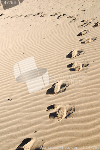 Image of Footprints