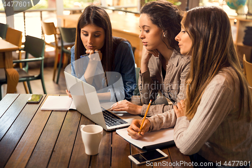 Image of Female friends studying together