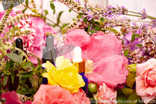 Image of flowers and bottles of essential oils for aromatherapy