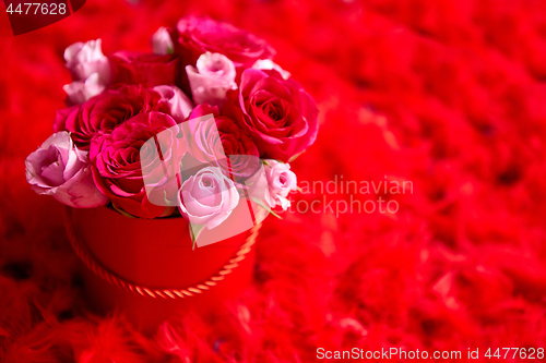 Image of Pink roses packed in box and placed on red feathers background w