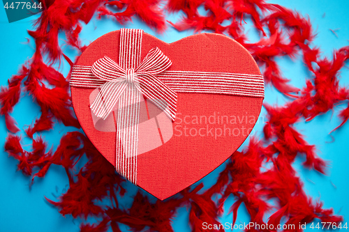 Image of Red, heart shaped gift box placed on blue background among red feathers