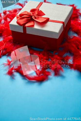 Image of Box with a gift, tied with a ribbon placed on red feathers