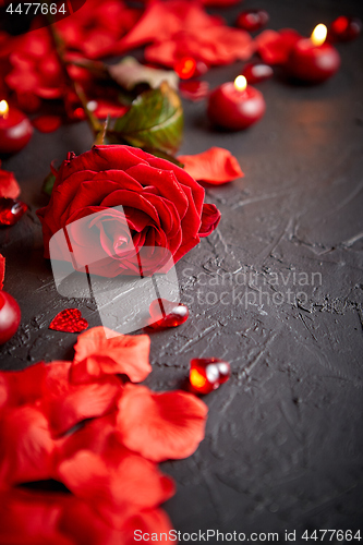 Image of Red rose, petals, candles, dating accessories, boxed gifts, hearts, sequins