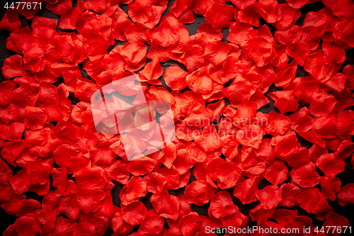 Image of Background of beautiful red rose petals. Top view