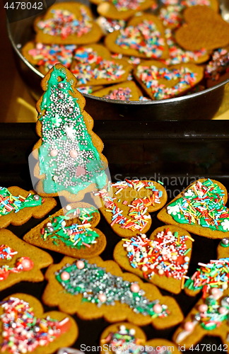 Image of Homemade christmas cookies in baking dishes