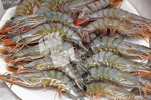 Image of Tiger Shrimps