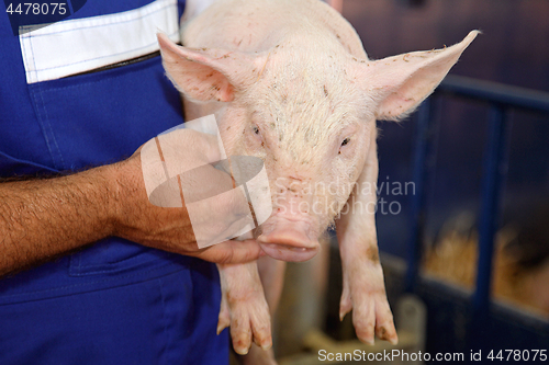 Image of Farmer Holding Pig