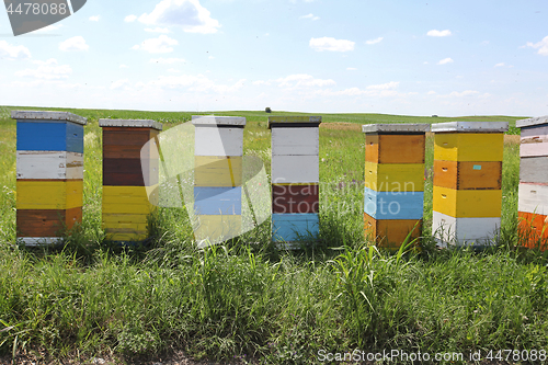 Image of Wooden Beehive