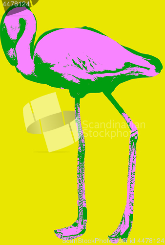 Image of Flamingo picture over green background