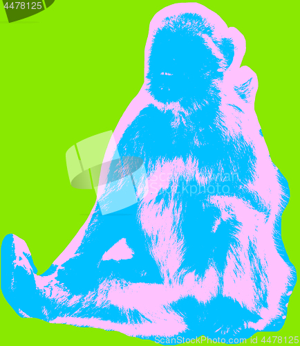 Image of Ape picture