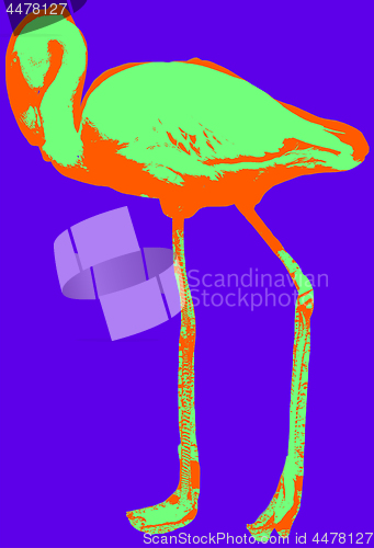 Image of Flamingo picture over green background