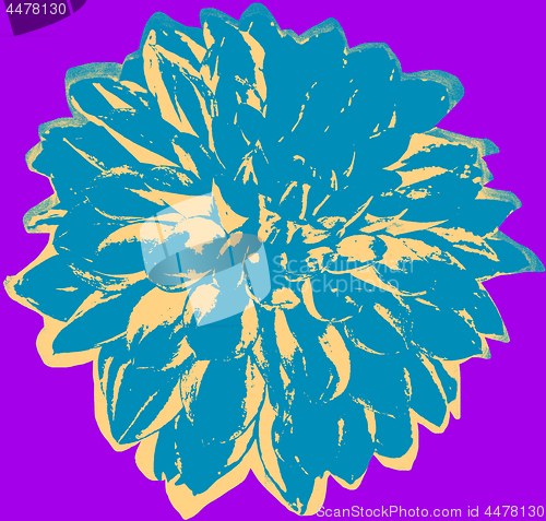 Image of Cornflower picture