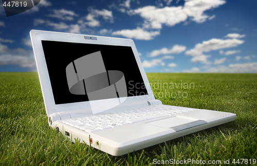 Image of white laptop in nature