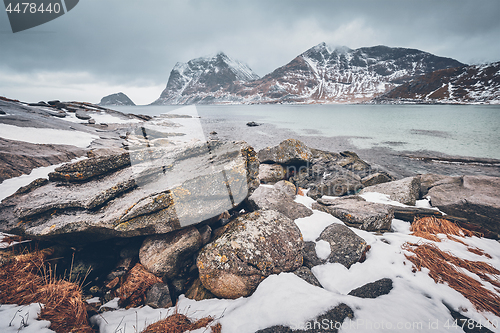 Image of Rocky coast of fjord in Norway