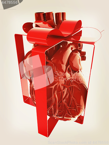 Image of Red human heart with ribbon. Donor concept. 3d illustration. Vin