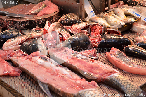 Image of Fish sold on market place 