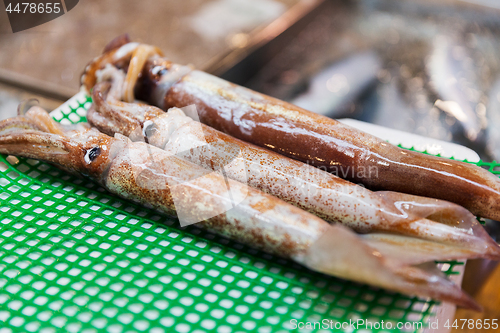 Image of close up of fresh squids at japanese street market