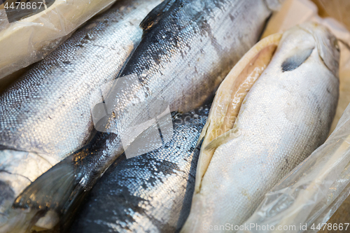 Image of fresh fish or seafood at asian street market