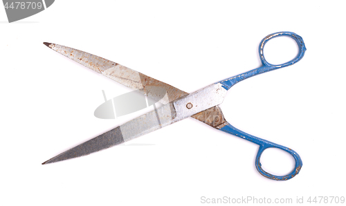 Image of Large kitchen scissors
