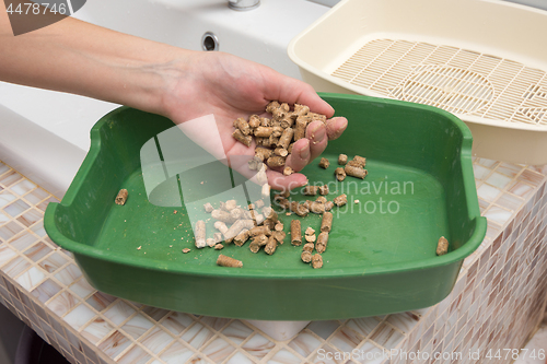 Image of The owner changes the wood filler in a cat or dog tray