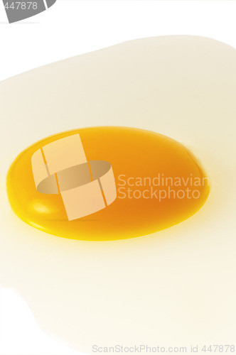 Image of egg 
