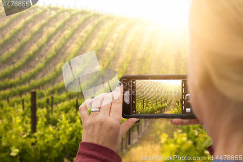 Image of Woman Taking Pictures of A Grape Vineyard with Her Smart Phone