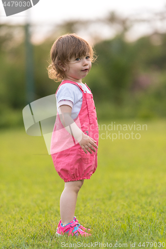 Image of little girl spending time at backyard