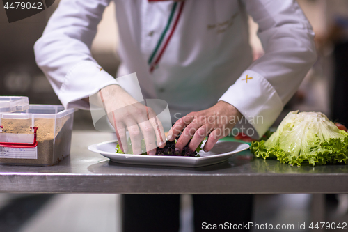 Image of chef serving vegetable salad