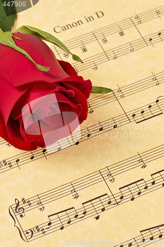 Image of Red Rose Bud on Sheet Music