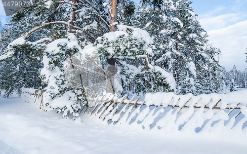 Image of Snow-covered landscape in the countryside. Viitna, Estonia