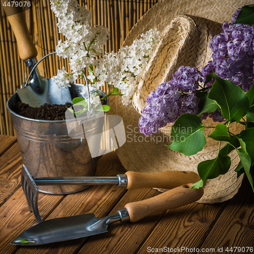 Image of Gardening tools and a branch of a blossoming white lilac