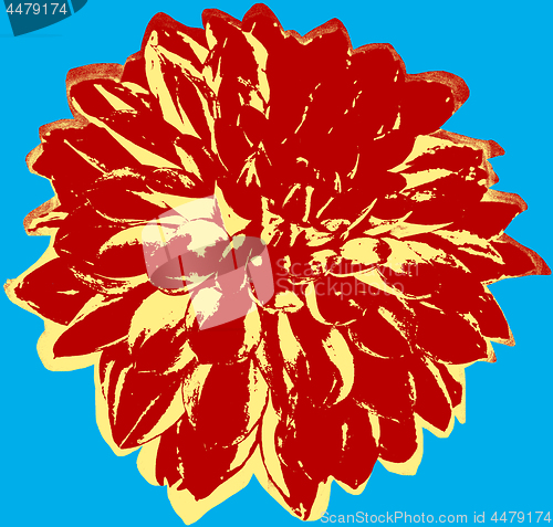 Image of Cornflower picture
