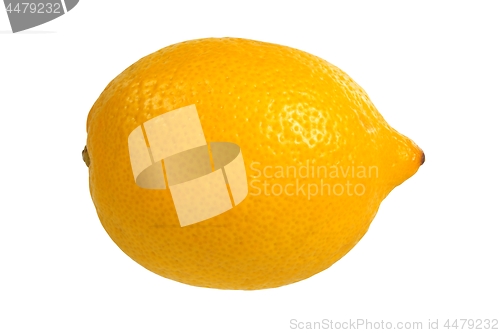 Image of Lemon on white