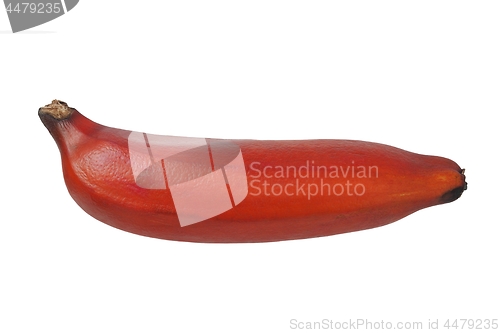 Image of Red banana on white