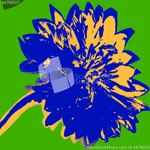 Image of Cornflower picture