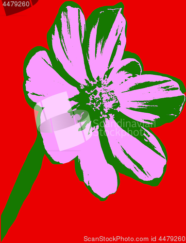 Image of Flower picture